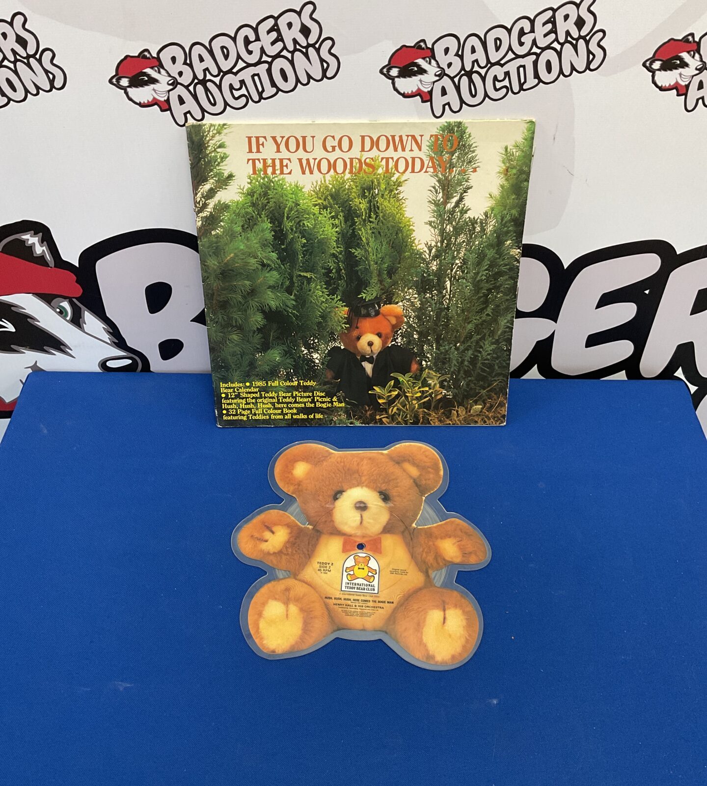Rare 1984 Red Hot Chili Peppers teddy bear picture disc vinyl record.