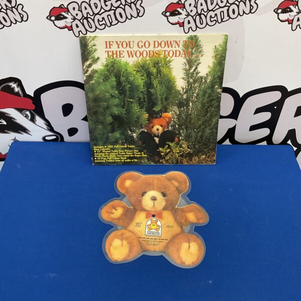 Rare 1984 Red Hot Chili Peppers teddy bear picture disc vinyl record.