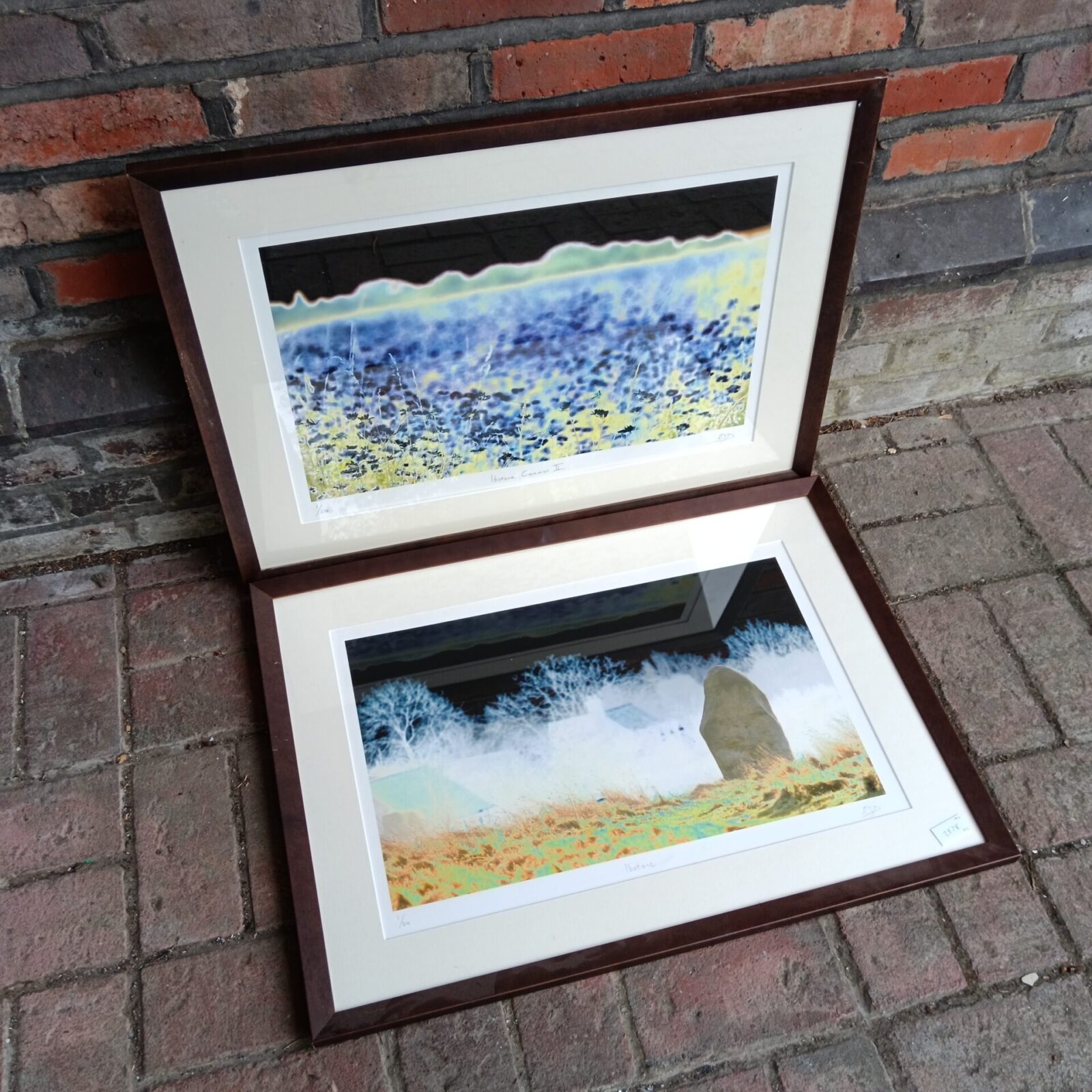 Signed limited edition R s d photographic prints of Ibstone landscape.
