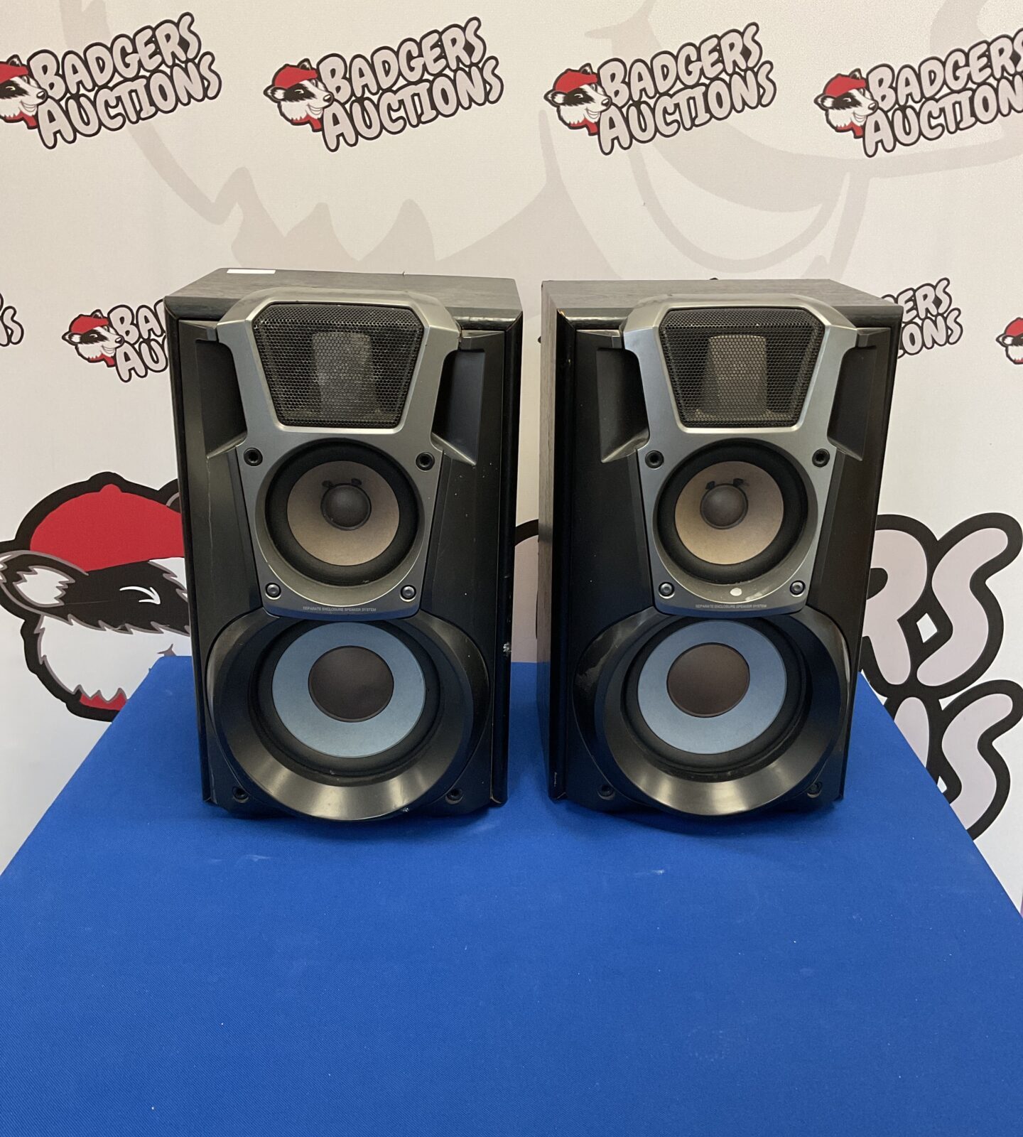 Vintage Technics SB-EH600 bookshelf speakers in good condition.
