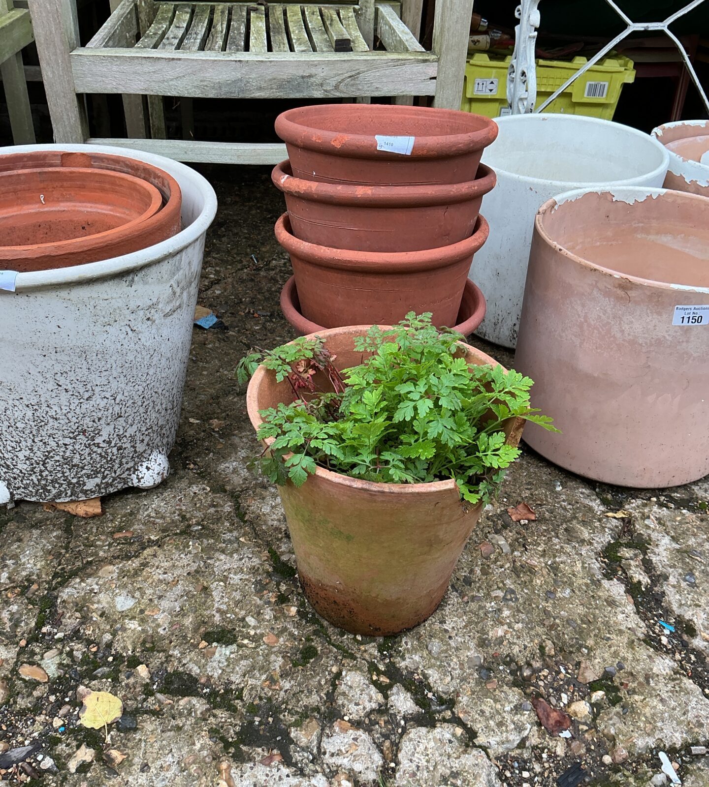 Lot of five vintage terracotta garden pots for plants.