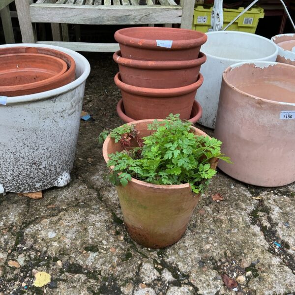 Lot of five vintage terracotta garden pots for plants.