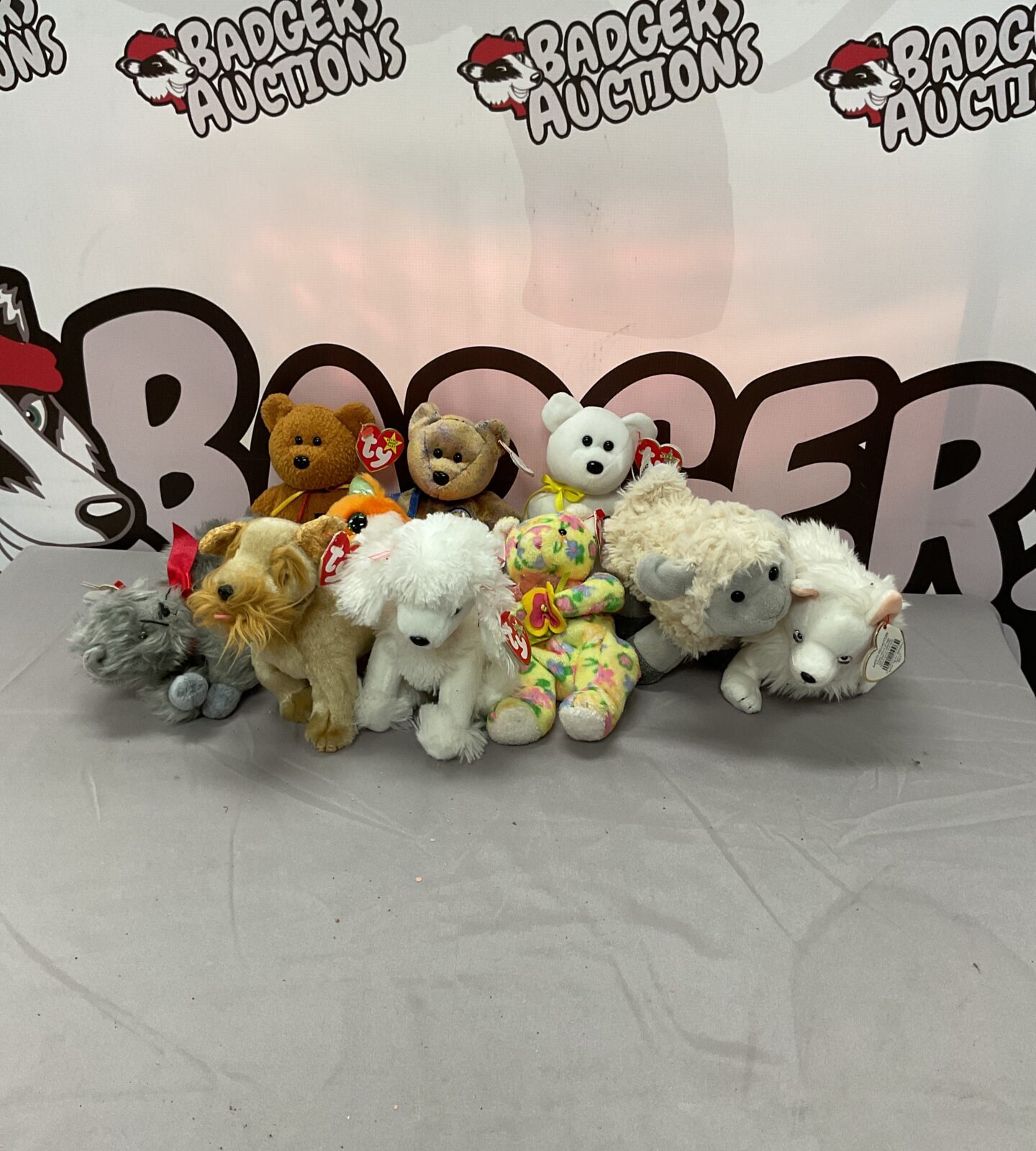 Group of vintage Ty Beanie Babies collectible plush toys.