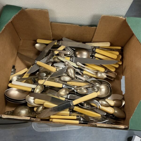 Vintage bone handle cutlery set displayed in a cardboard box.