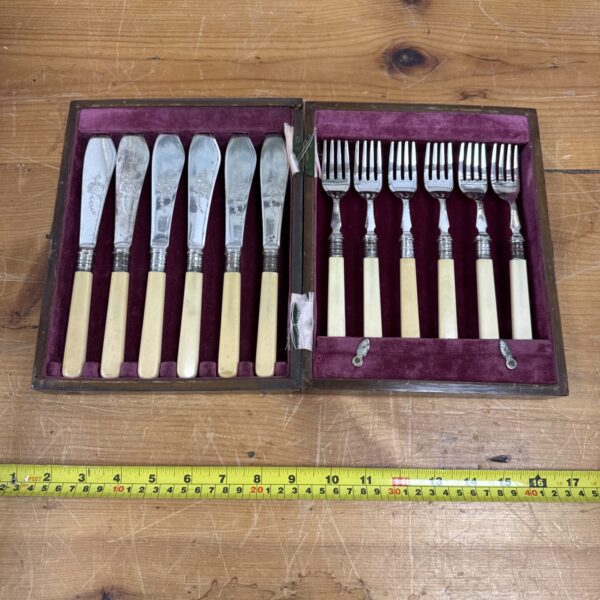 Vintage silver plated fish service set in velvet case.