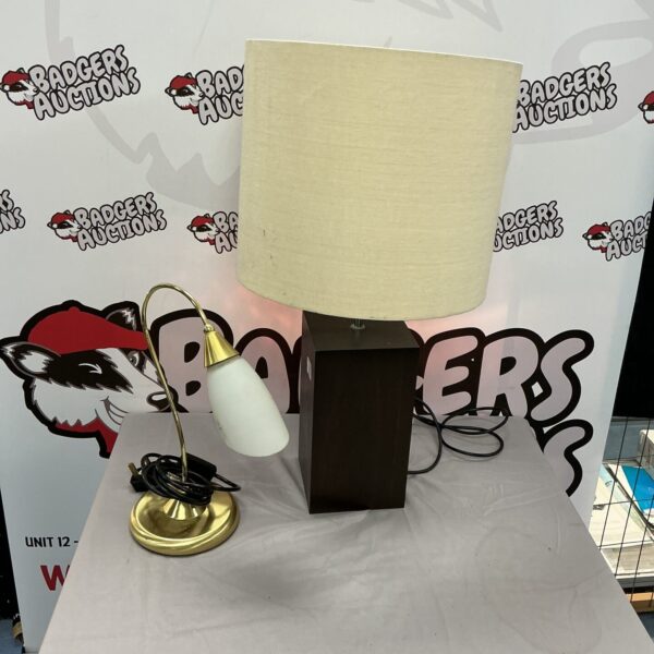 Vintage table lamp pair with frosted glass shades.