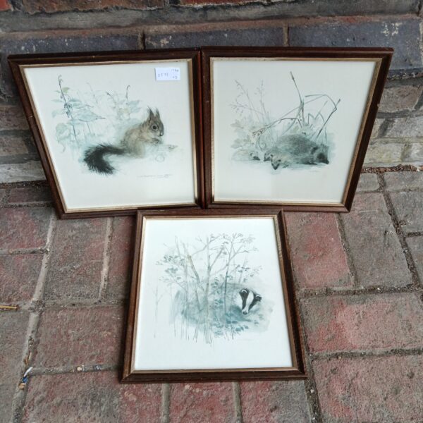 Vintage Mad Stage badger wildlife print in a frame.