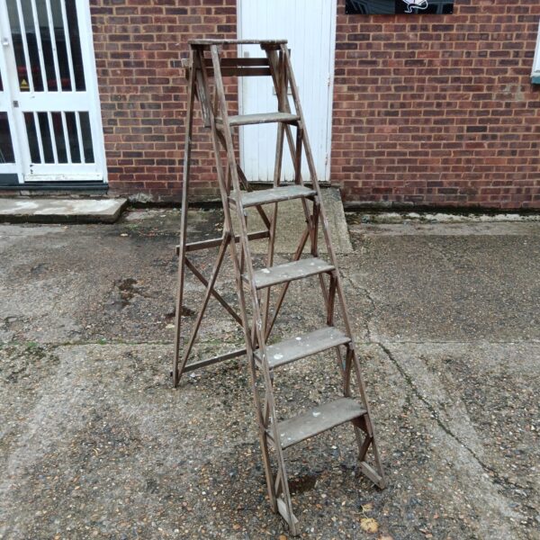 Vintage wooden step ladder in a garden setting.