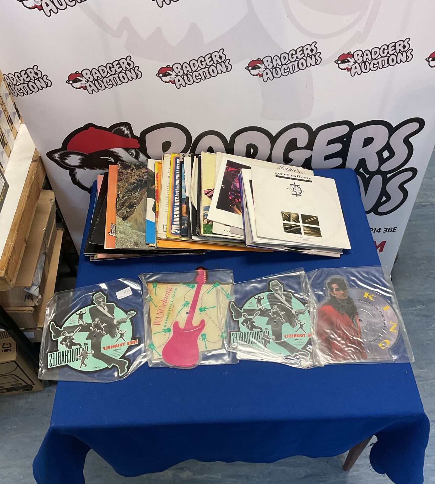 Mixed vinyl record bundle with picture discs for collectors.