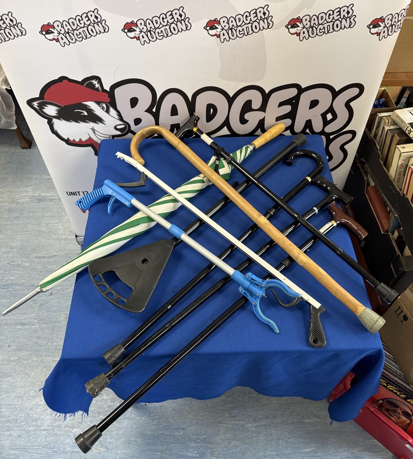 Selection of walking sticks, reach grabbers, and an umbrella for mobility assistance.