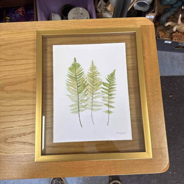 Watercolour painting of bracken leaves by A Fletcher.