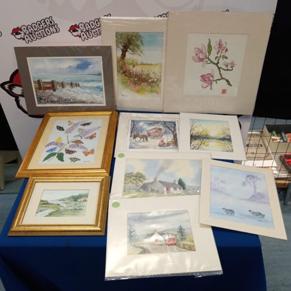 Collection of framed watercolour paintings by Vera Fowler & Pam Hammond.
