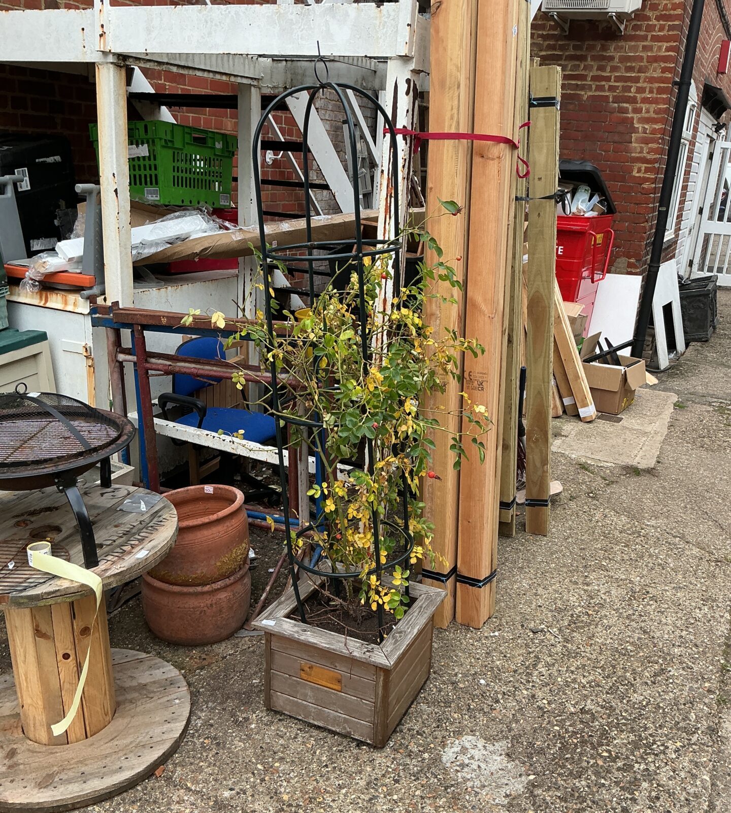 Wooden planter with a climbing rose, ideal for garden decoration.