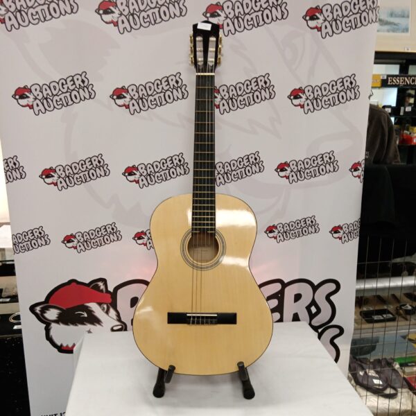 Elevation 540/6441 acoustic guitar