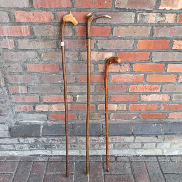 Three vintage walking sticks including horn handled stick & carved horse head stick
