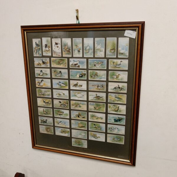 Framed 1927 Players cigarette cards featuring game birds and wild fowl.