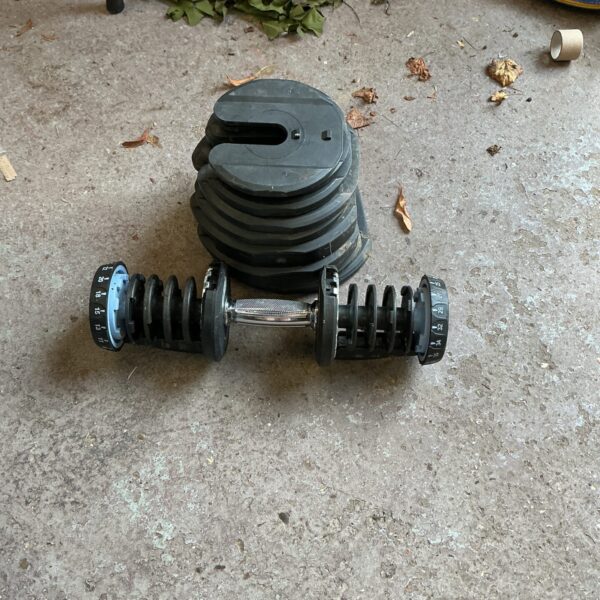 Adjustable dumbbell set with mini bar and removable weight plates.