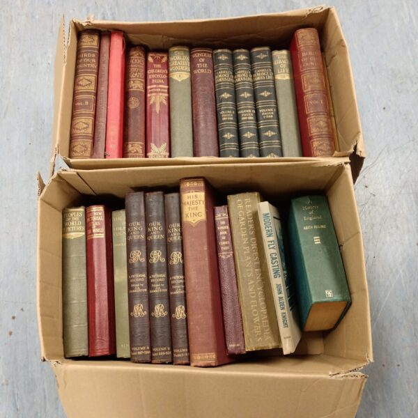 Antique book lot featuring "Birds of Our Country" and "Cassells Romance of Famous Lives".