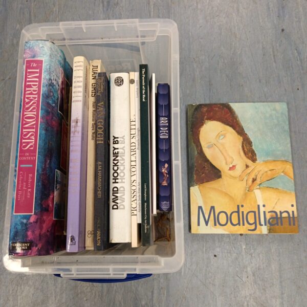 Vintage art books collection featuring Modigliani and David Hockney illustrations.