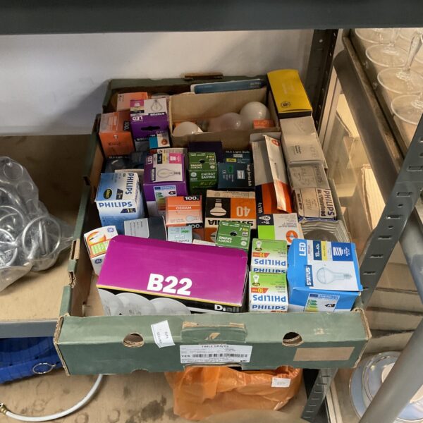 Tray of assorted new light bulbs for home lighting.