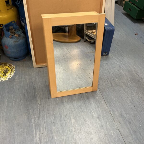Mirrored bathroom cabinet offering practical storage solution.
