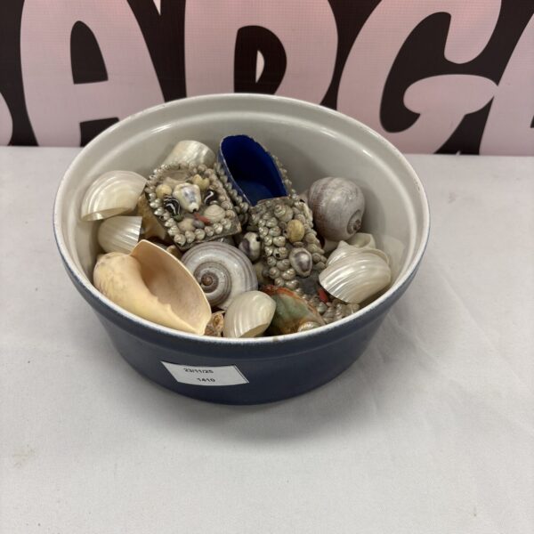 Blue ceramic bowl filled with a collection of seashells.