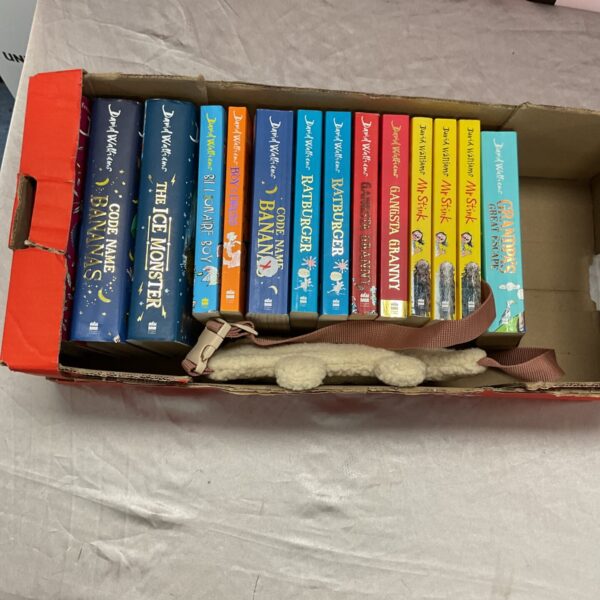 Mixed lot of David Walliams children's books for reading.