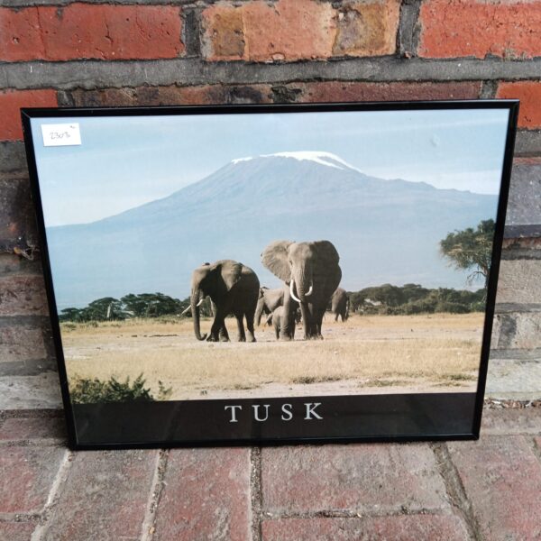 Framed elephant photograph, a beautiful piece of wildlife art.