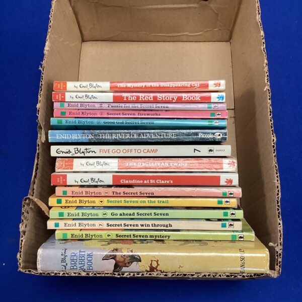 Vintage Enid Blyton books bundle for collectors and readers.