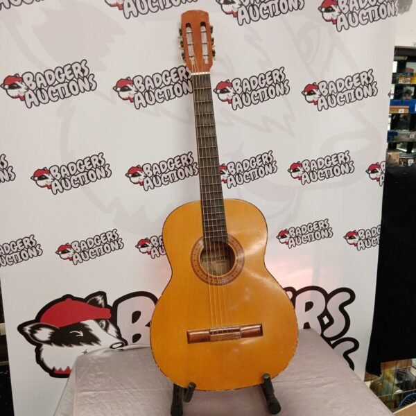 Vintage Ferrarotti Torino acoustic guitar in good condition.