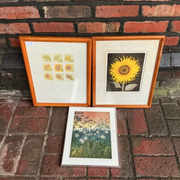 Framed sunflower prints and floral etchings, vintage botanical art collection.
