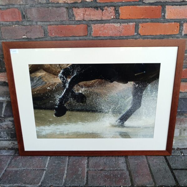 Dramatic galloping horse photography print with water splashes.
