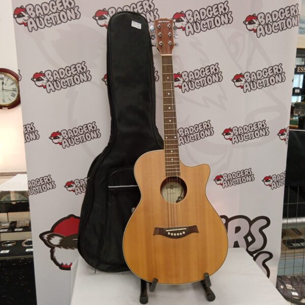 Gear4music dn-20ov acoustic guitar in a case.