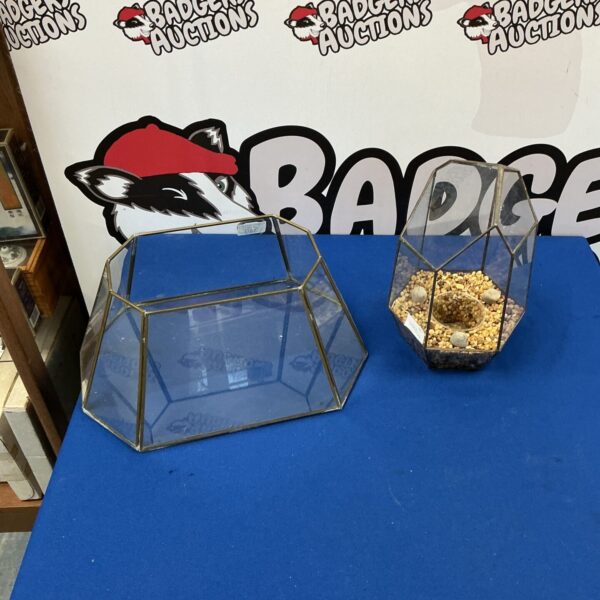 Two geometric glass terrariums for plants and display.