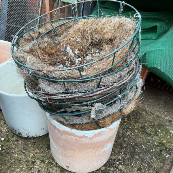 Four weathered wicker hanging baskets for garden plants.