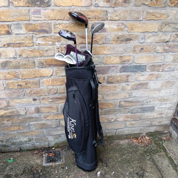 King Cobra golf bag with Callaway Big Bertha driver visible.