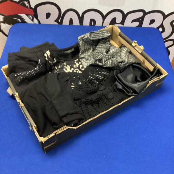 Ladies evening wear bundle including Coast and Precis dresses.