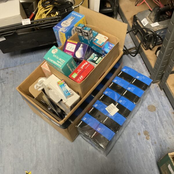 Boxed assortment of vintage and incandescent light bulbs for restoration.