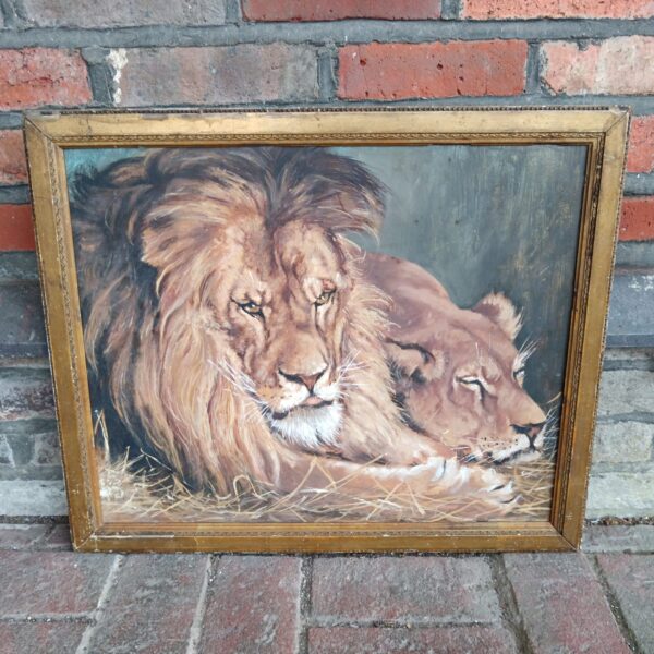 Early 20th-century oil painting of a lion and lioness portrait.