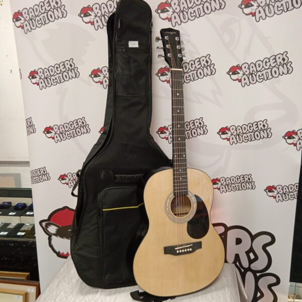 Martin Smith acoustic guitar in a black case.