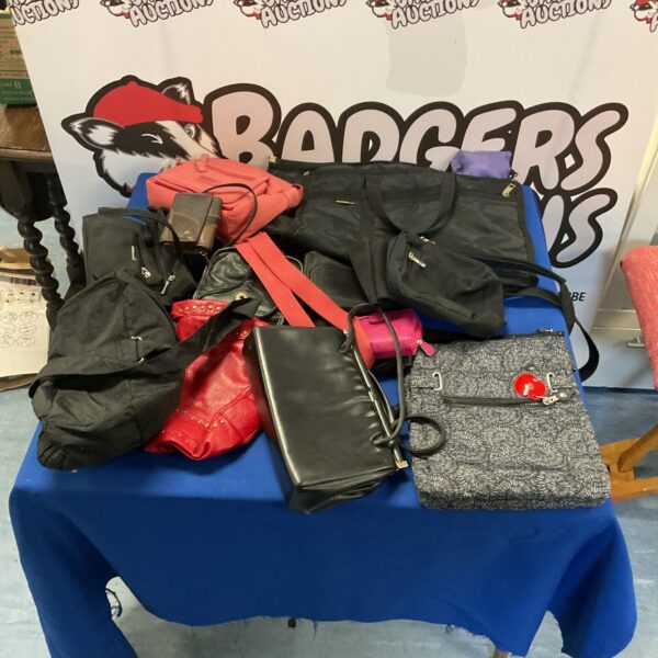 Assorted mixed handbags and purses in a vintage fashion lot.