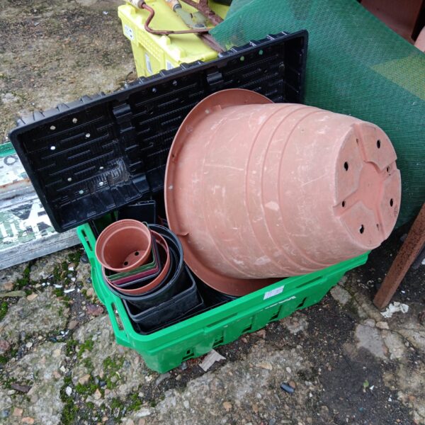 Green crate filled with assorted plastic plant pots for gardening.