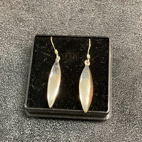 Elegant silver drop earrings, minimalist dangle style.