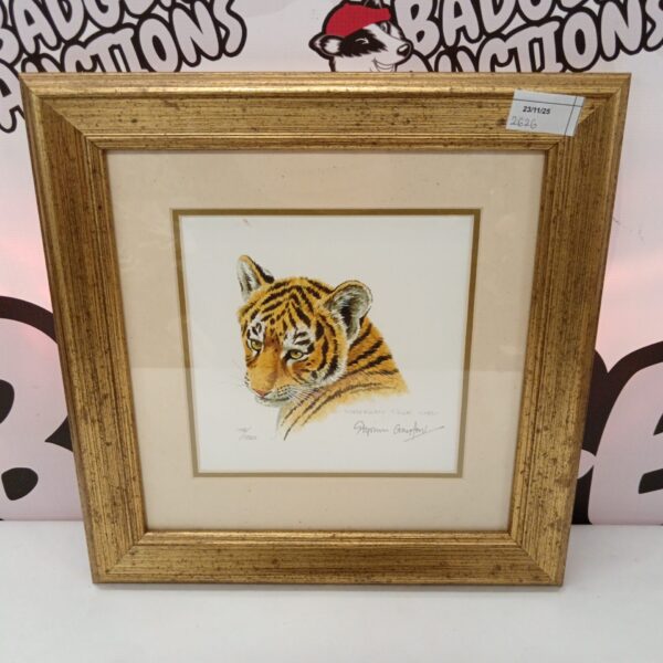 Signed Stephen Gayford print of a Siberian tiger cub.