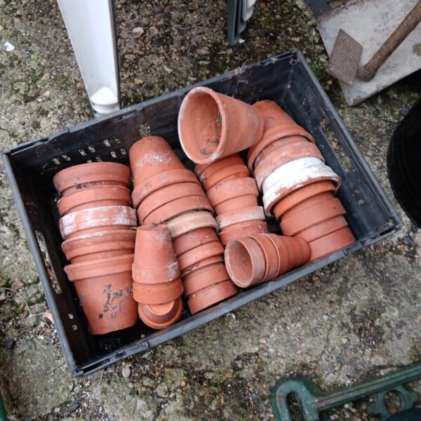 Tray of vintage terracotta plant pots for garden or indoor use.