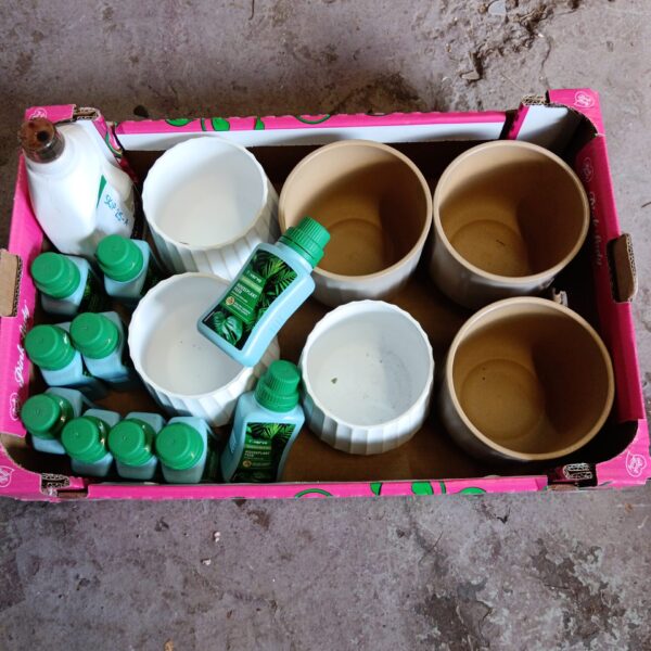 Terracotta plant pots and Verve houseplant feed in a tray.