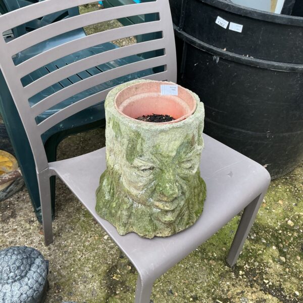 Rustic tree stump planter with a carved face in a garden setting.