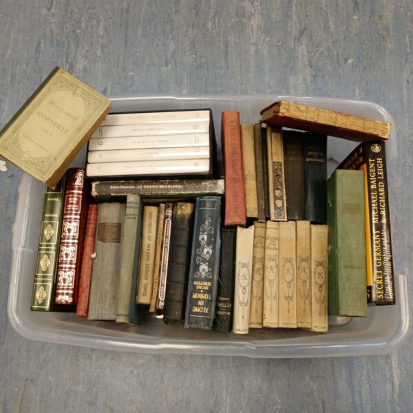 Vintage book lot with antique French and English literature.