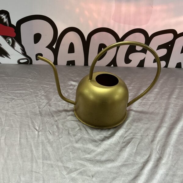 Vintage copper watering can for houseplants and garden use.