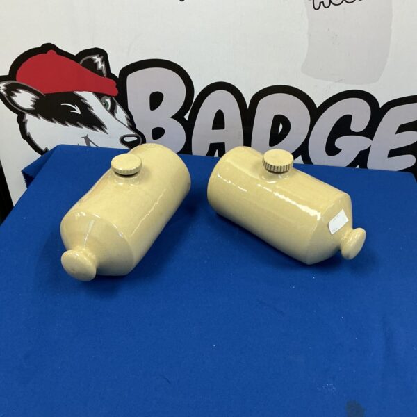 Pair of vintage pottery hot water bottles for warmth and display.